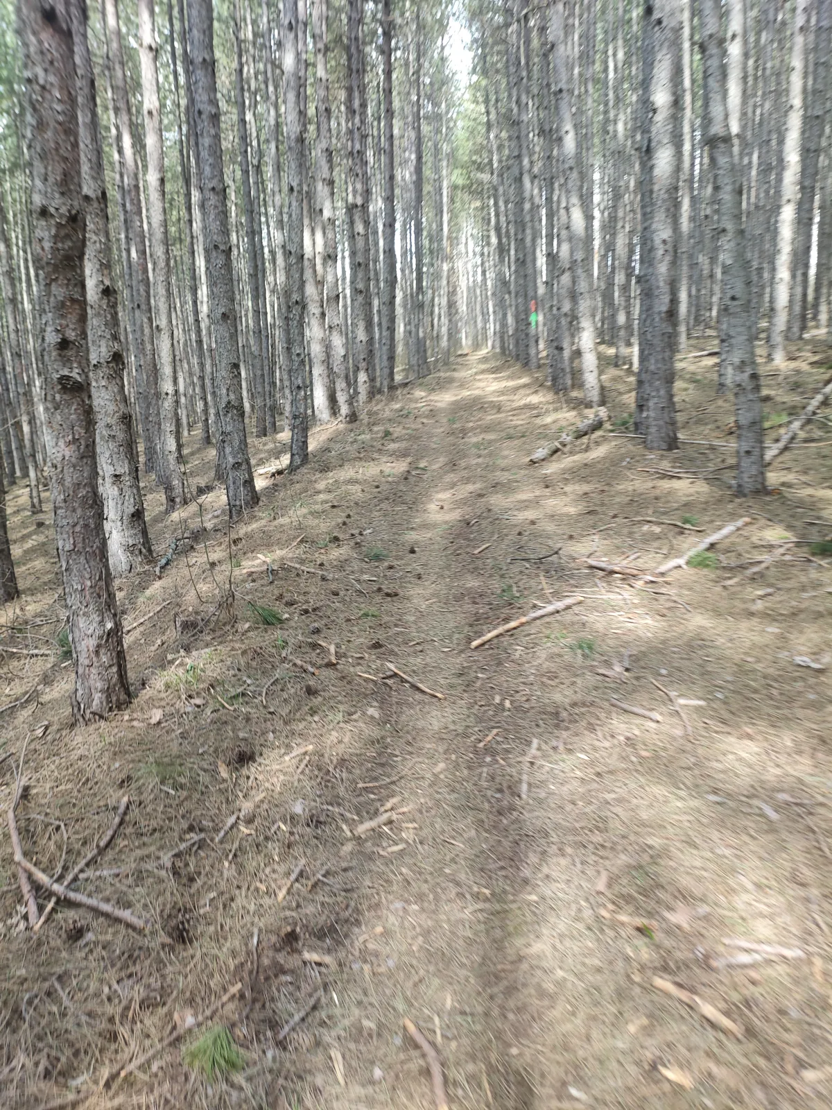 OPENING SEASON  Ultra Trail Run&XCM Cycling